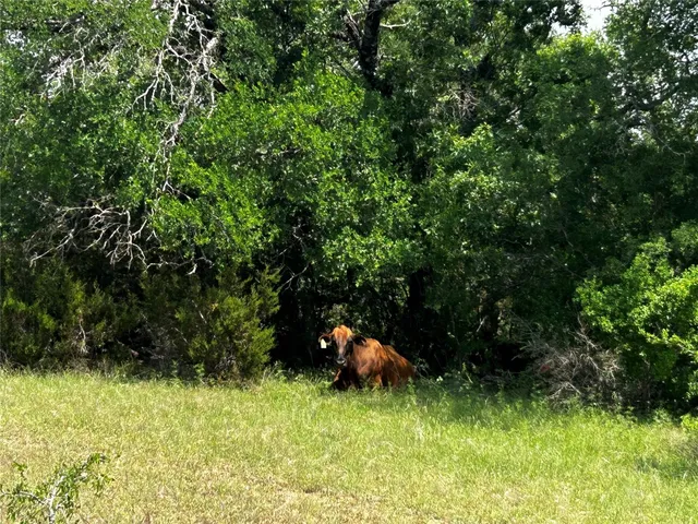 a backyard of a house with seating space