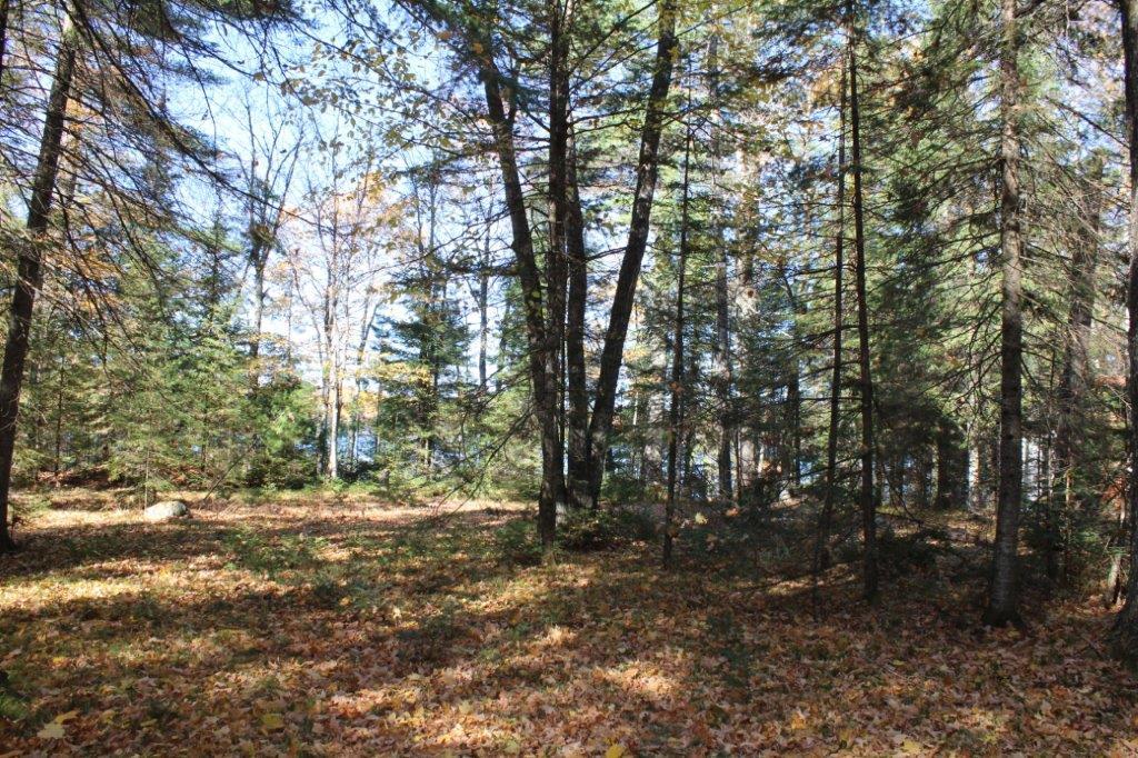 2050 South Anvil Lake Road Eagle River, WI 54521 - Photo 3 of 37 Gallery Image 3