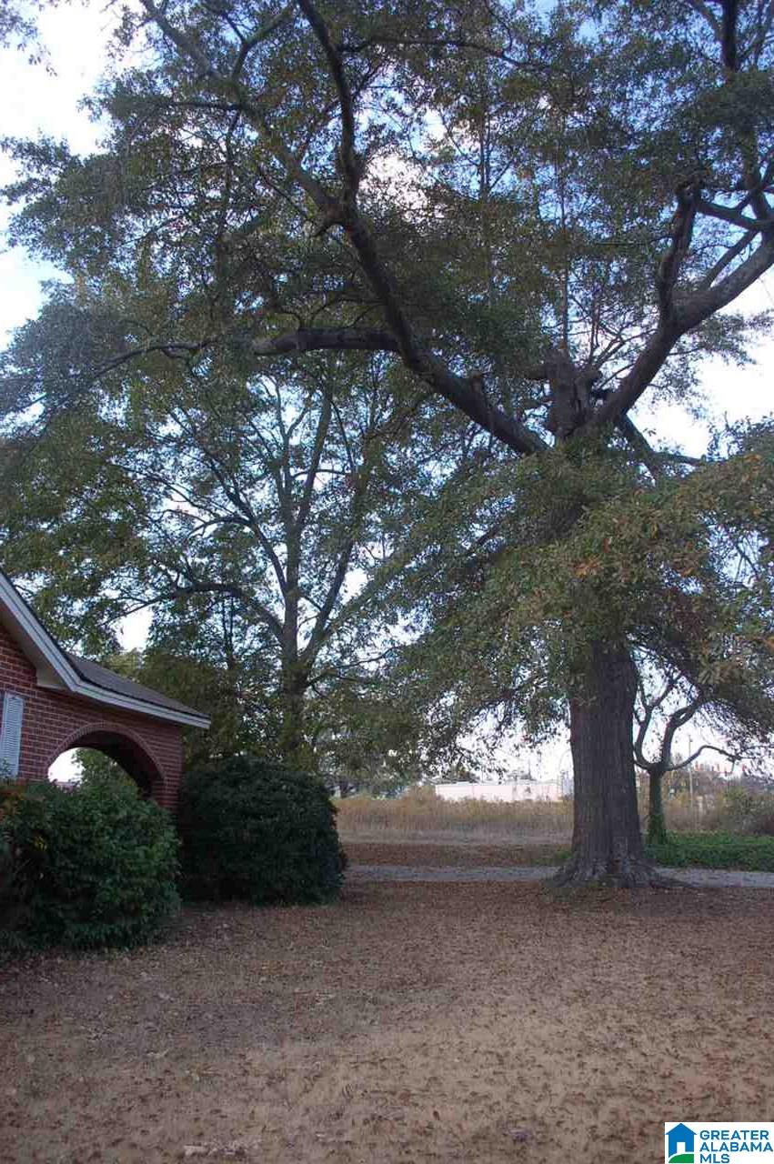 9950 Corner School Road Warrior, AL 35180 - Photo 20 of 20