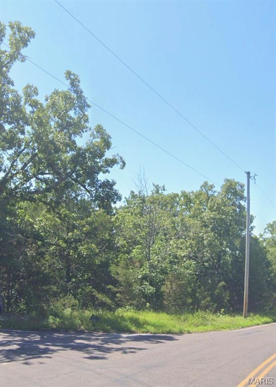 1900 Tinhouse Road Hillsboro, MO 63050 - Photo 3 of 3