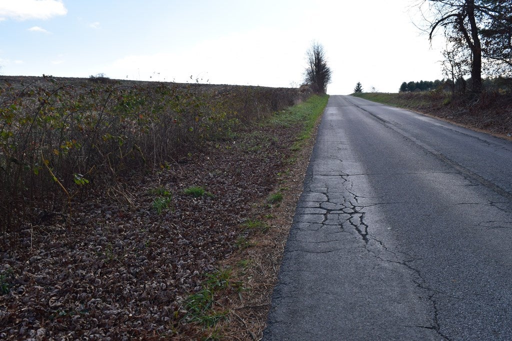 Tbd Long Level Road Southwest Floyd, VA 24091 - Photo 14 of 14 Gallery Image 14