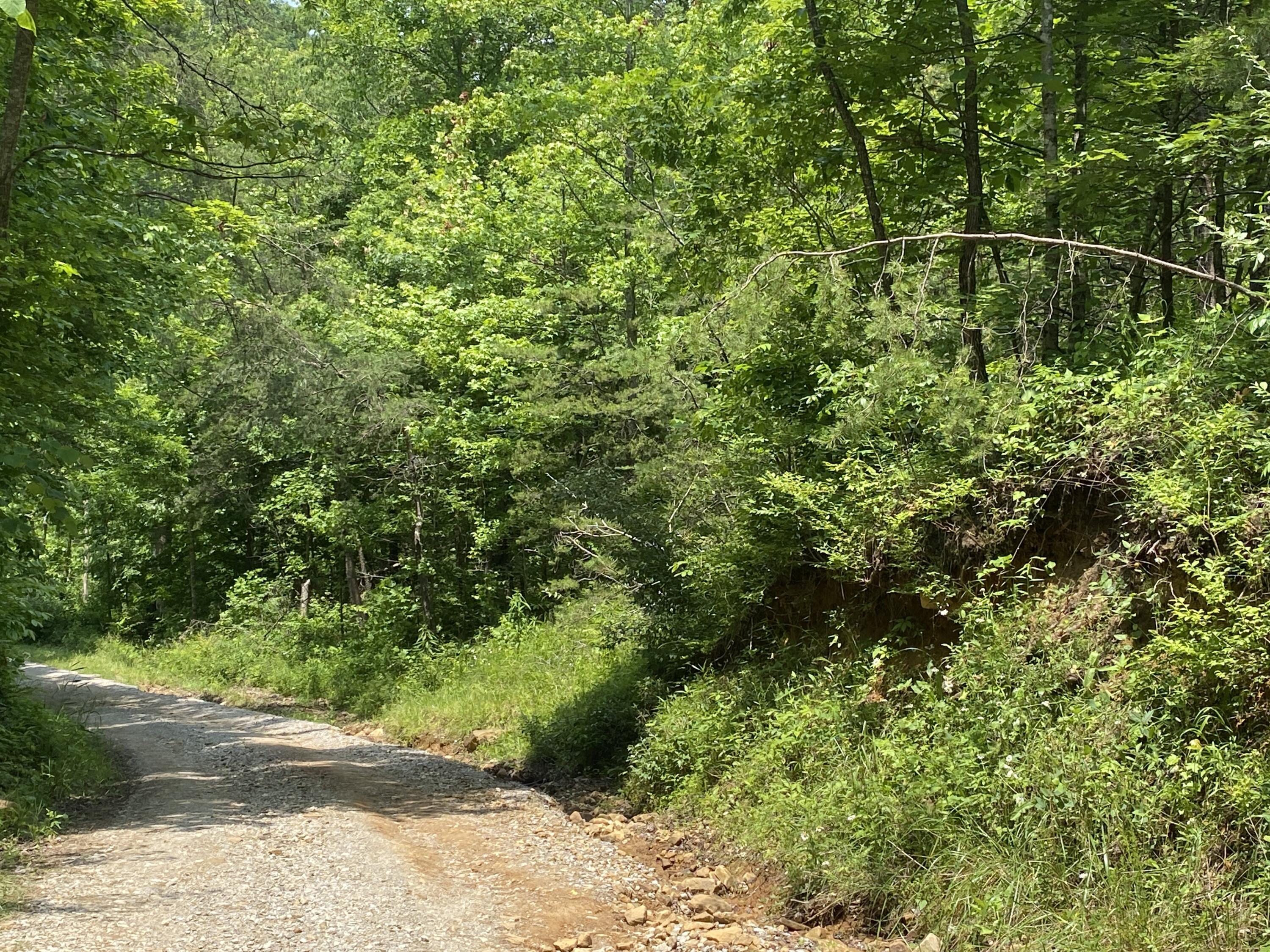 0 Rock Creek Road Strunk, KY 42649 - Photo 5 of 14 IMG_7396