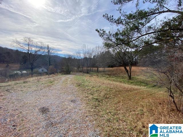 195 Wyatt Lake Road Odenville, AL 35120 - Photo 10 of 16