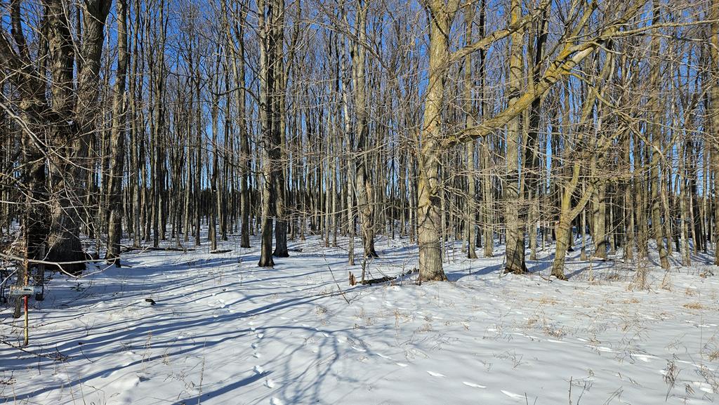 T B D T B D Rock Ridge Road Sturgeon Bay, WI 54235 - Photo 4 of 7