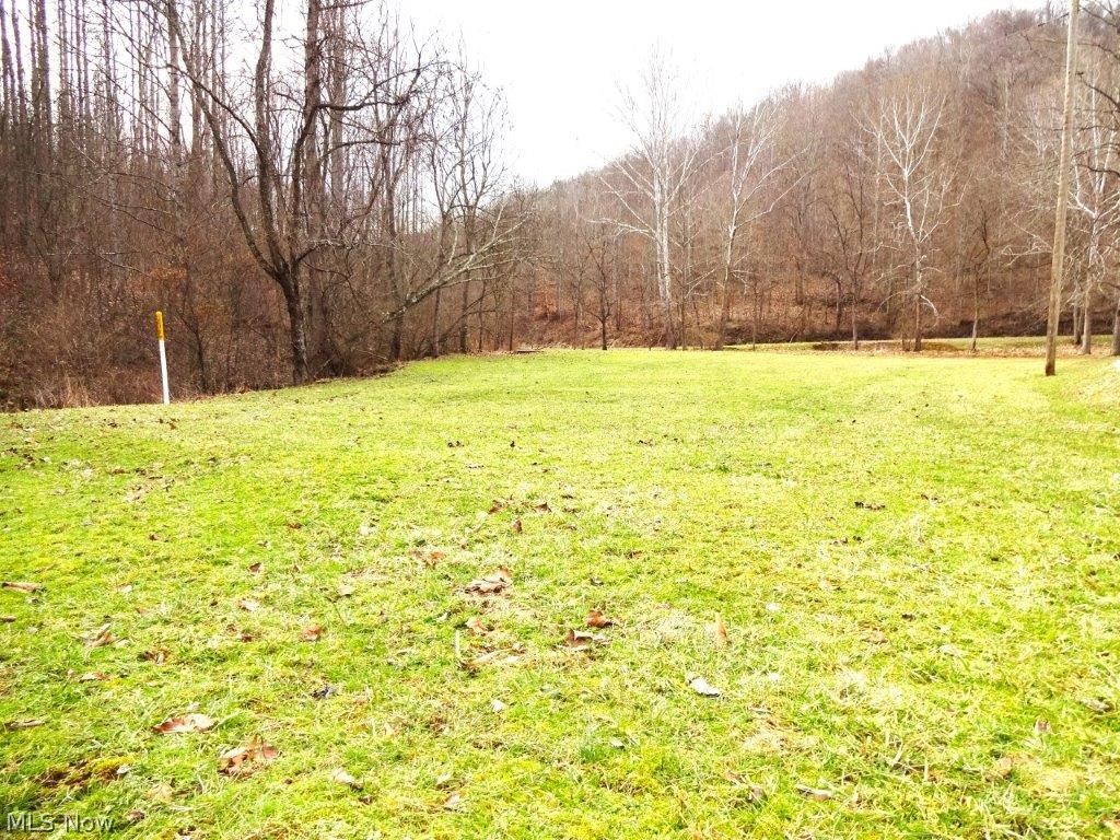 592 Granny She Road Chloe, WV 25235 - Photo 25 of 26