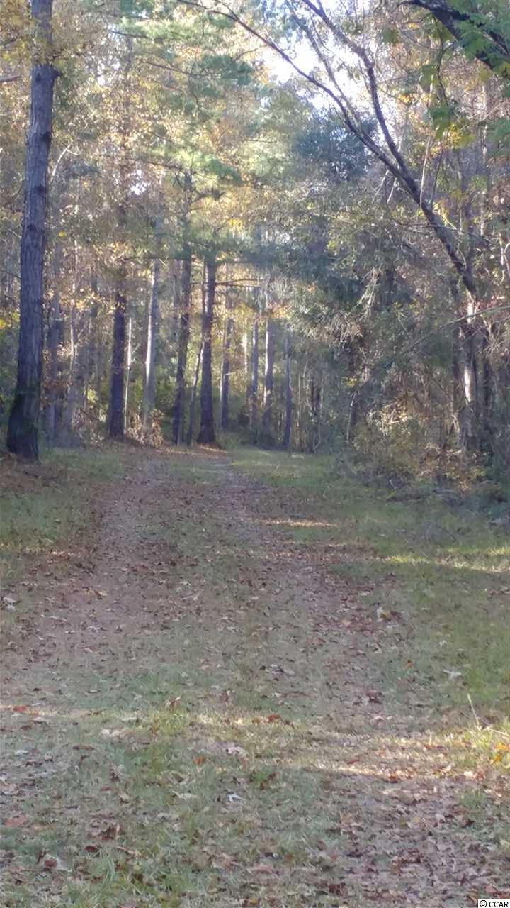 2556 Nesmith Road Nesmith, SC 29580 - Photo 2 of 27