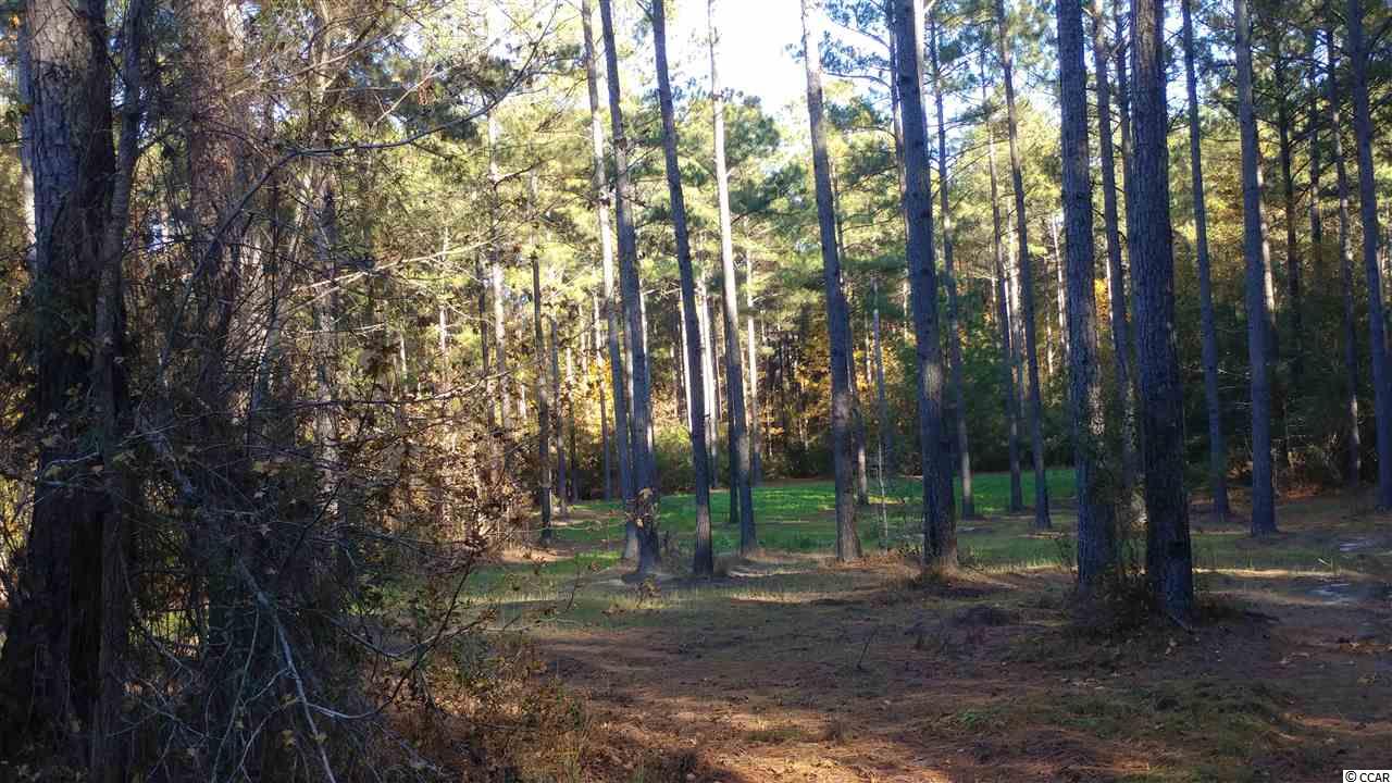2556 Nesmith Road Nesmith, SC 29580 - Photo 3 of 27