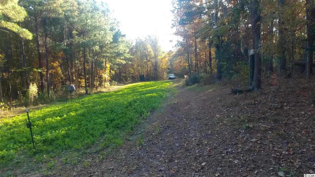 2556 Nesmith Road Nesmith, SC 29580 - Photo 4 of 27