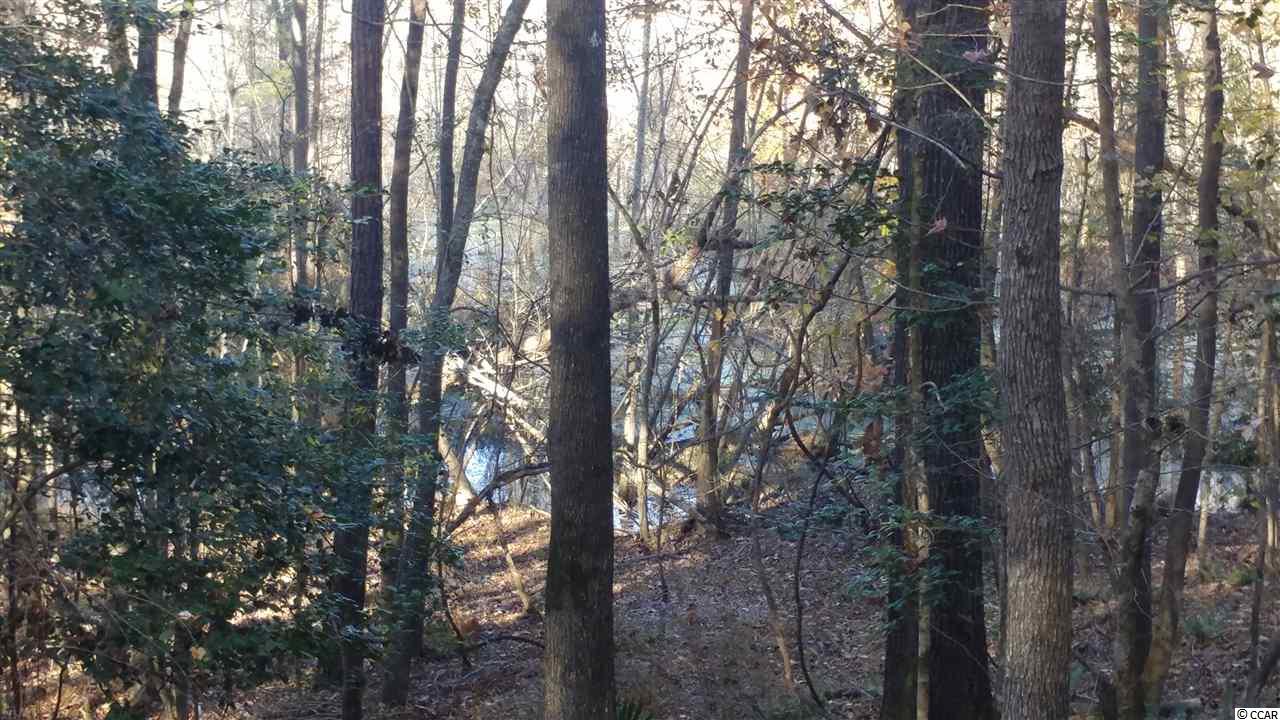 2556 Nesmith Road Nesmith, SC 29580 - Photo 5 of 27