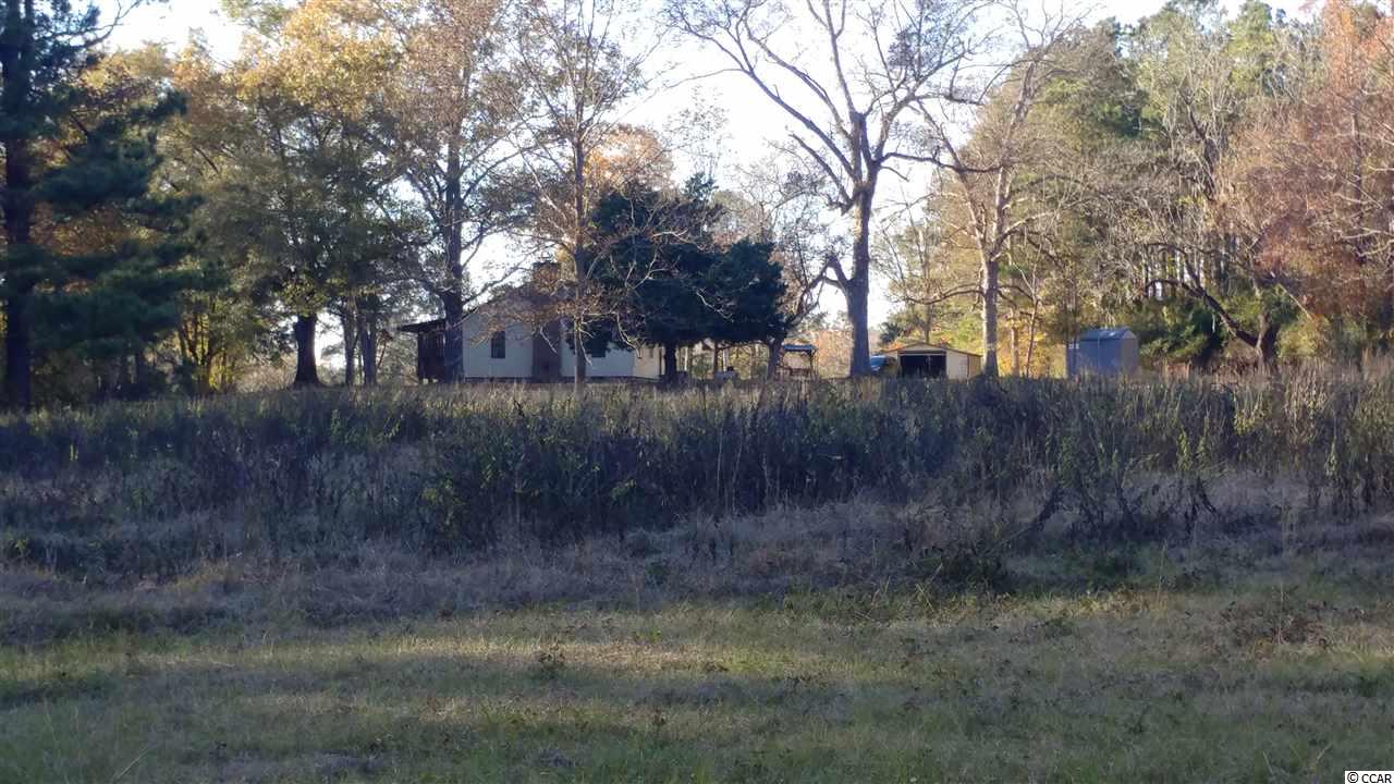2556 Nesmith Road Nesmith, SC 29580 - Photo 6 of 27