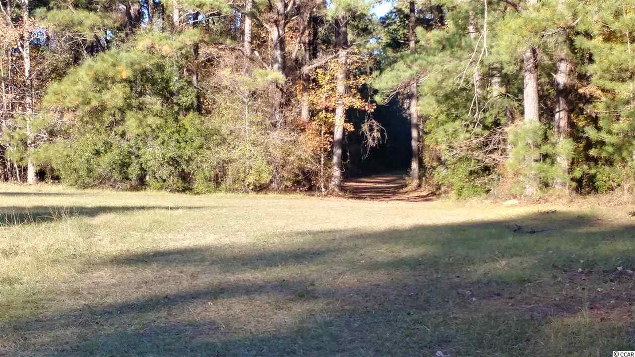 2556 Nesmith Road Nesmith, SC 29580 - Photo 7 of 27