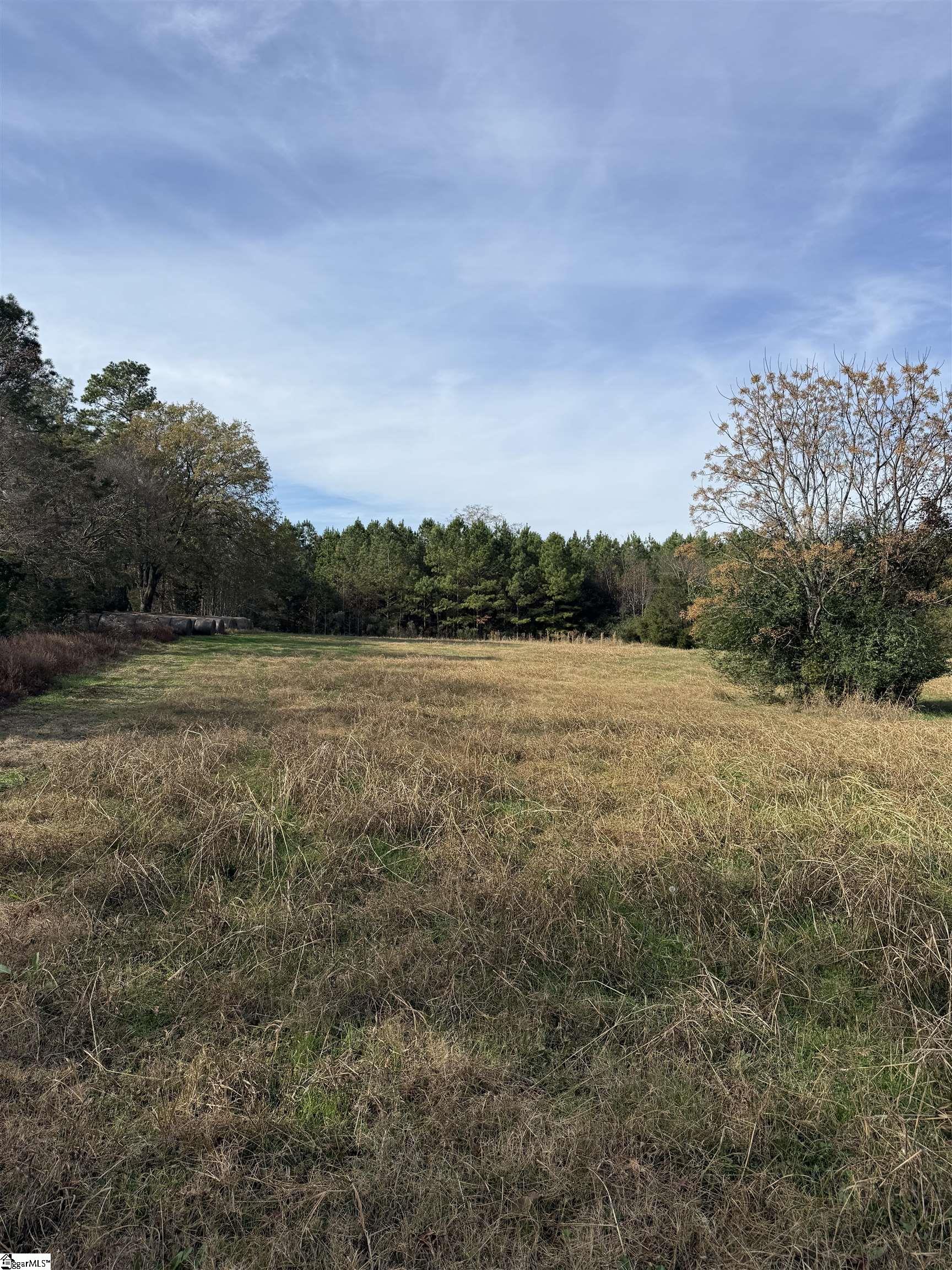 0 High Point Road Saluda, SC 29138 - Photo 2 of 10