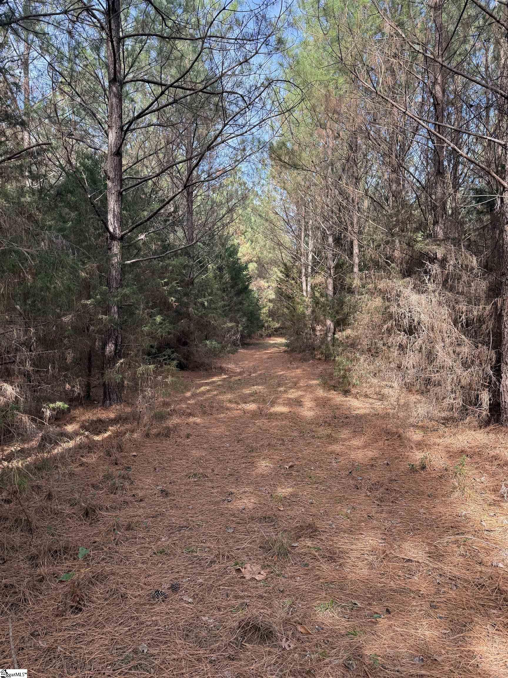 0 High Point Road Saluda, SC 29138 - Photo 3 of 10