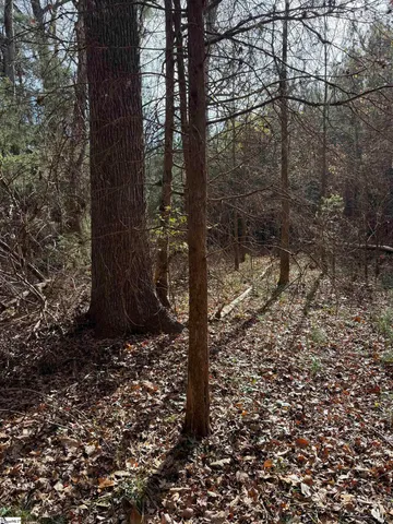 $462,400 | 0 High Point Road, Saluda, SC 29138