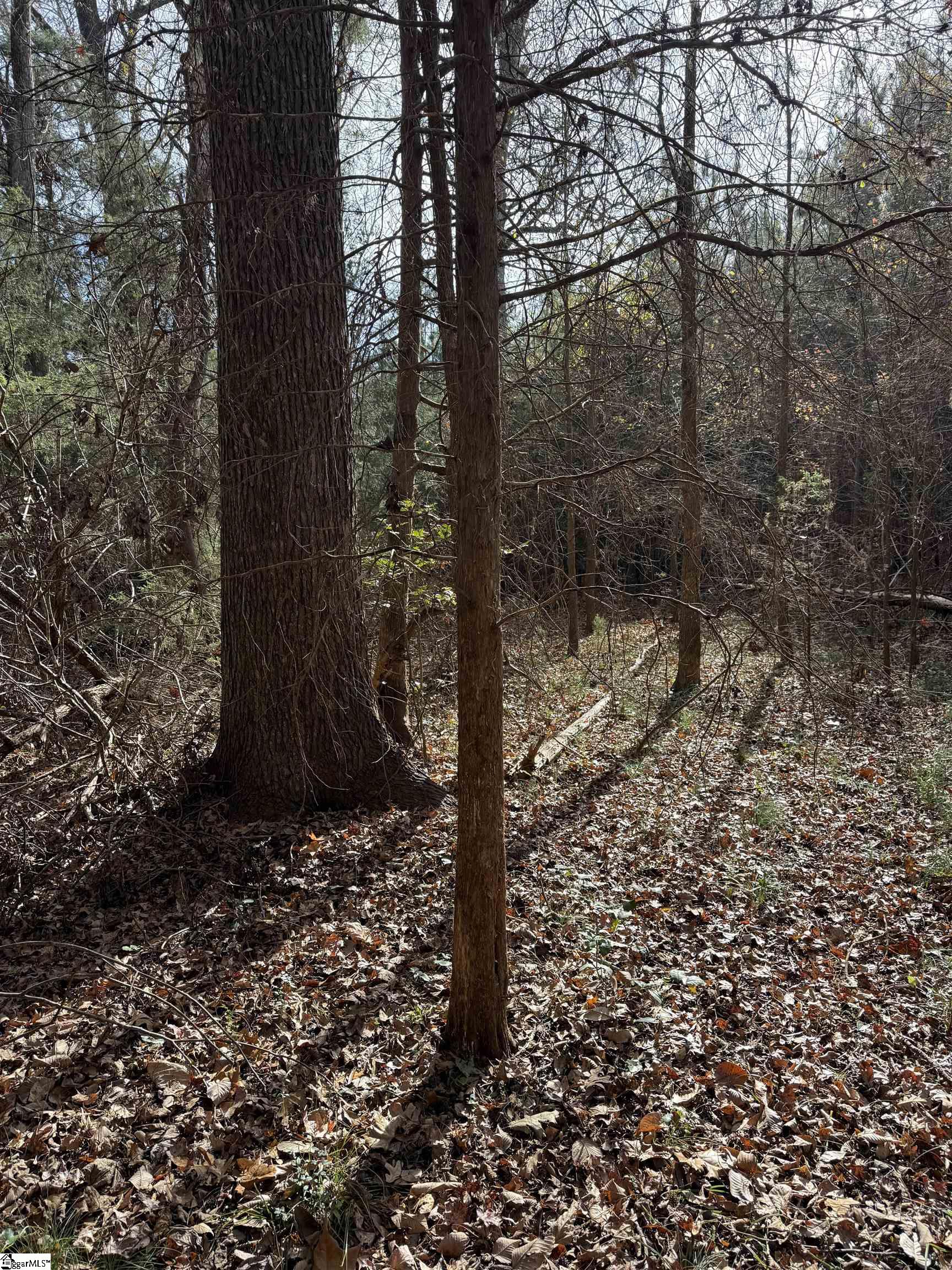 0 High Point Road Saluda, SC 29138 - Photo 4 of 10