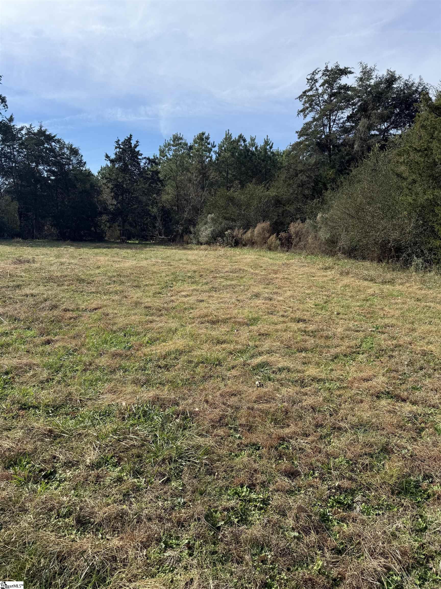 0 High Point Road Saluda, SC 29138 - Photo 5 of 10