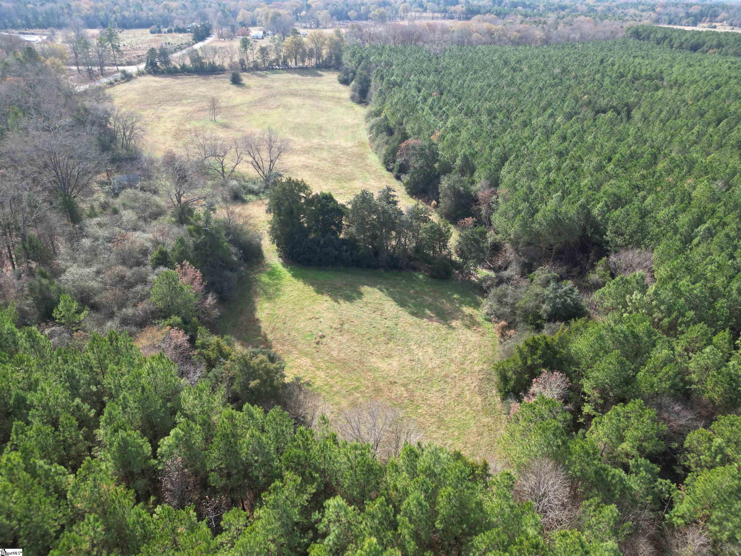 0 High Point Road Saluda, SC 29138 - Photo 7 of 10