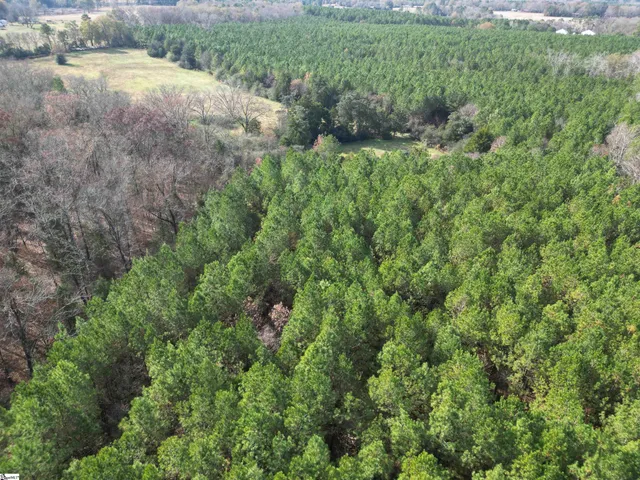 $462,400 | 0 High Point Road, Saluda, SC 29138