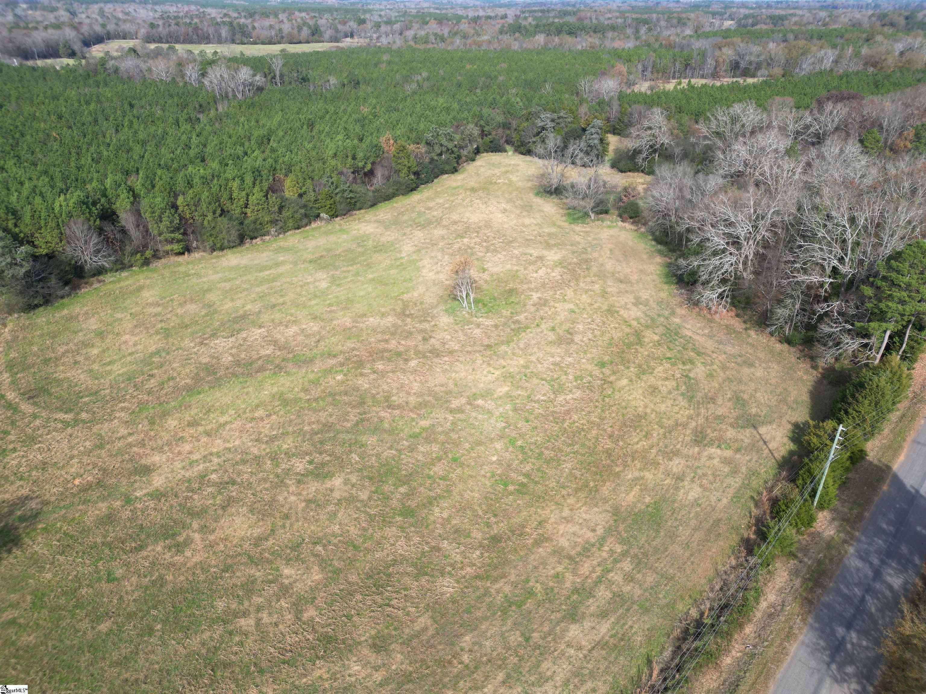 0 High Point Road Saluda, SC 29138 - Photo 9 of 10