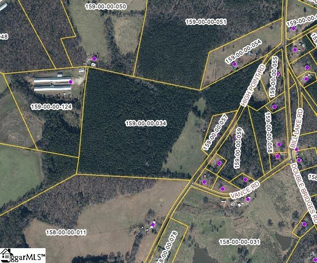 0 High Point Road Saluda, SC 29138 - Photo 10 of 10