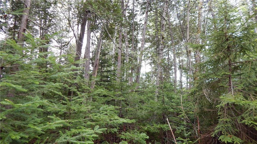 0 North Shore Road Brownville, ME 04414 - Photo 16 of 35 Photo