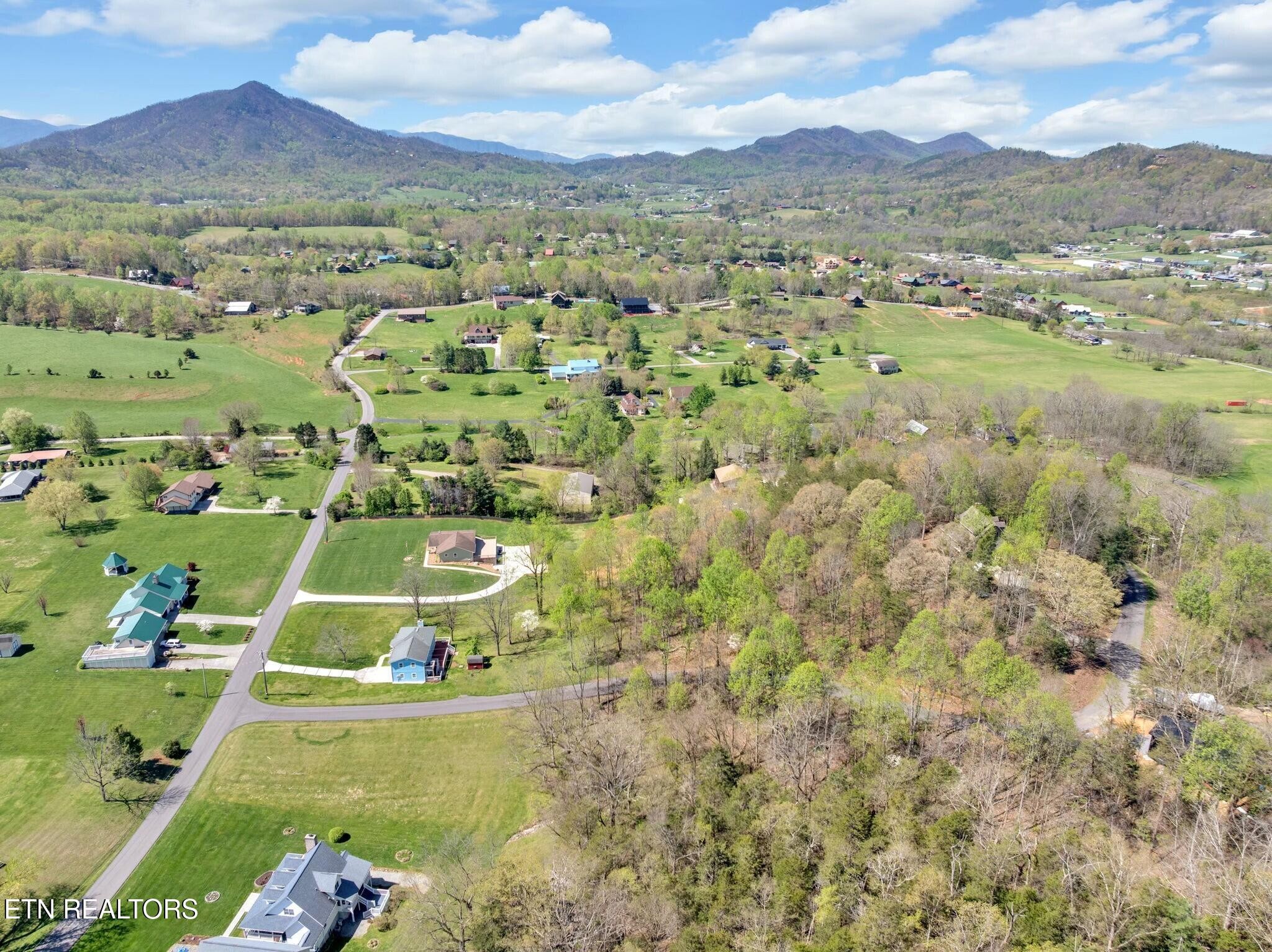 3310 Spring View Drive Sevierville, TN 37862 - Photo 11 of 17 an aerial view of residential houses with outdoor space and trees