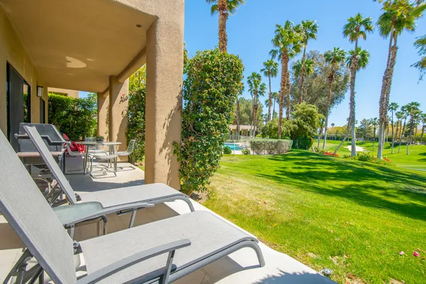 a view of a swimming pool with a lawn chairs under palm trees