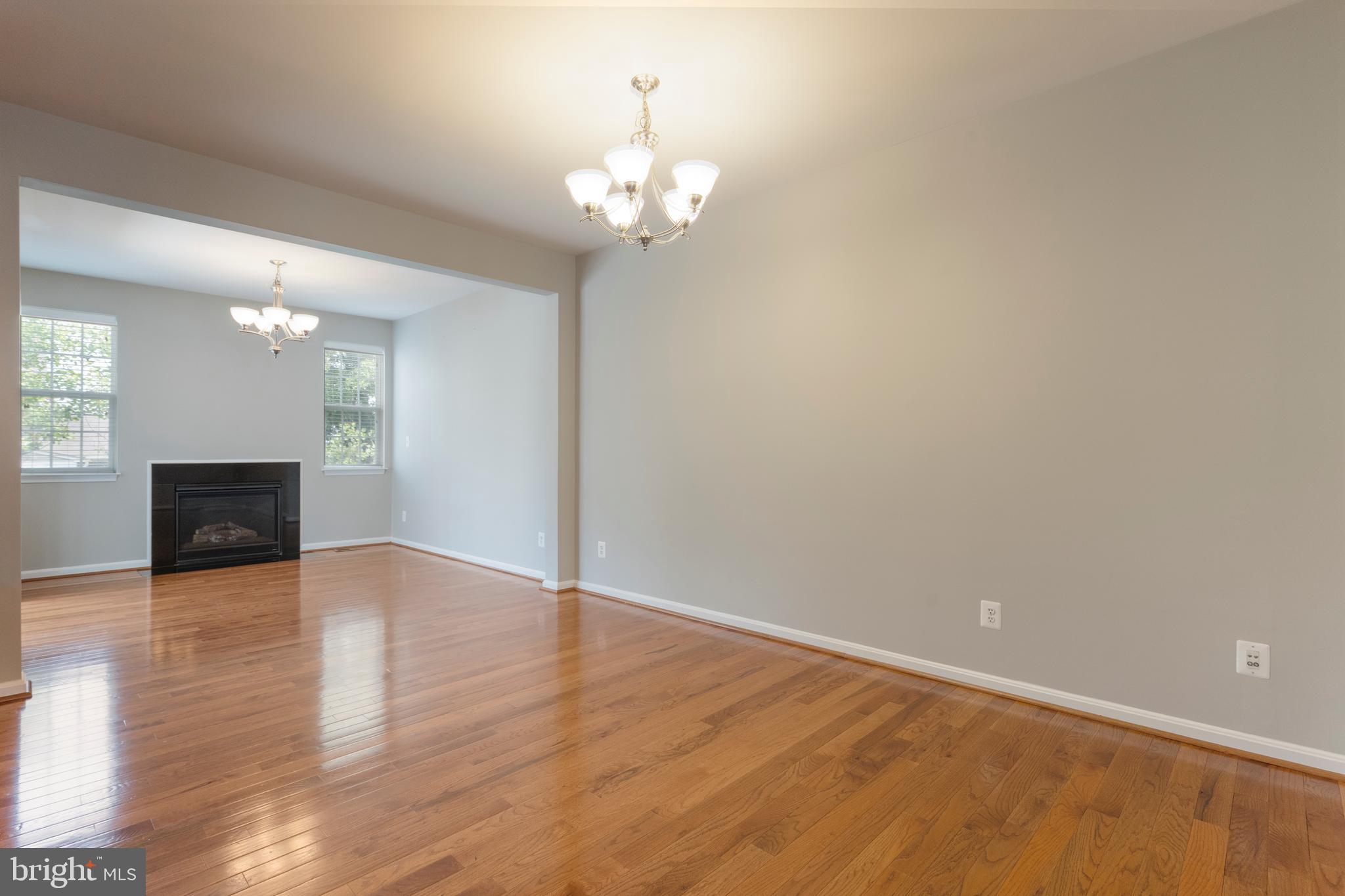 22672 Flowing Spring Square Brambleton, VA 20148 - Photo 10 of 35 a view of an empty room with wooden floor and a fireplace