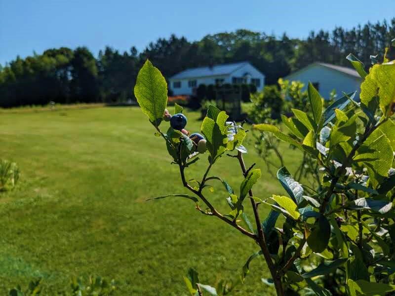 548 North Pond Road Winslow, ME 04901 - Photo 10 of 75 PXL_20230720_132246075 (2)