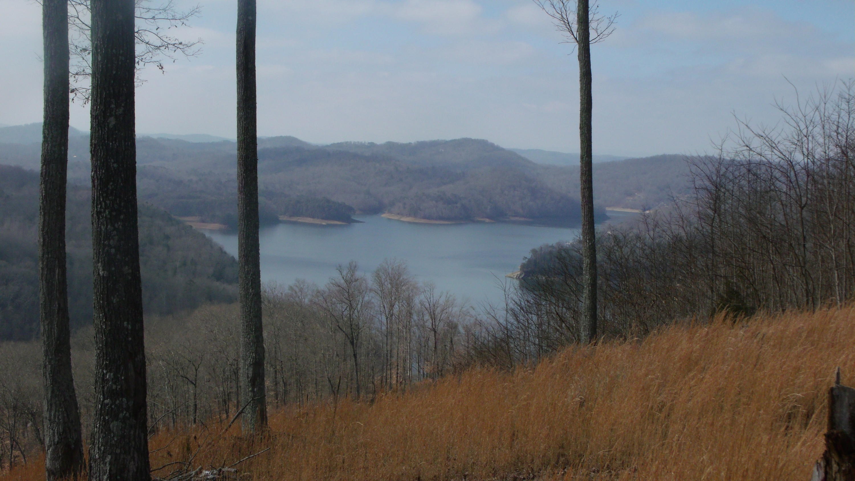 Crown Hill Heiskell, TN 37754 - Photo 1 of 8 GEDC2103