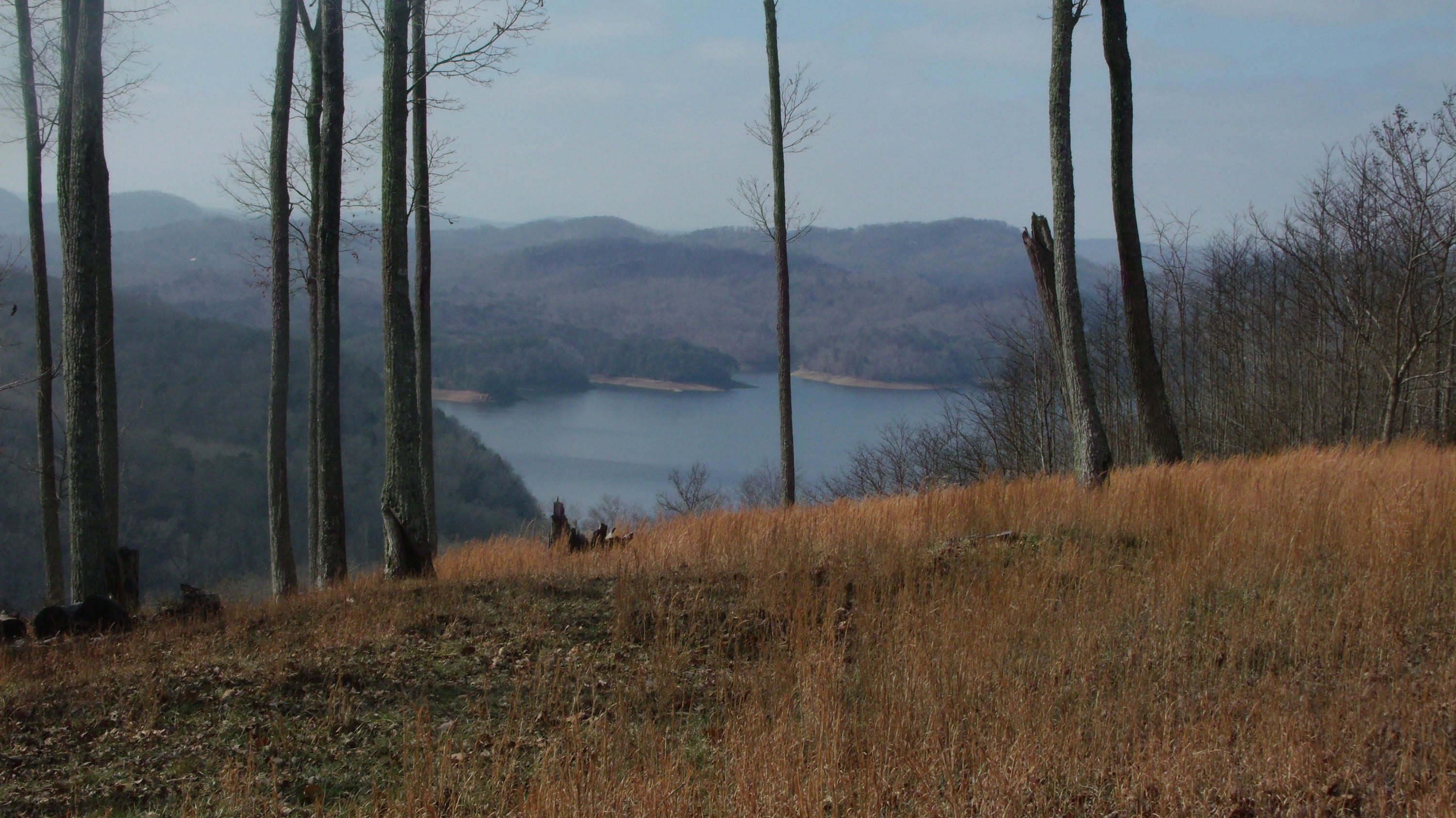 Crown Hill Heiskell, TN 37754 - Photo 2 of 8 GEDC2099