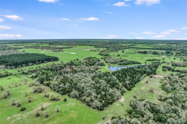 a view of a green field with lots of plants in it