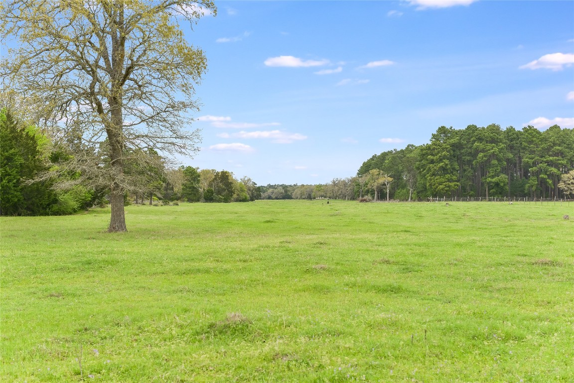 363 Paint Creek S Road, Unit A Paige, TX 78659 - Photo 7 of 40 a backyard of a house with lots of green space