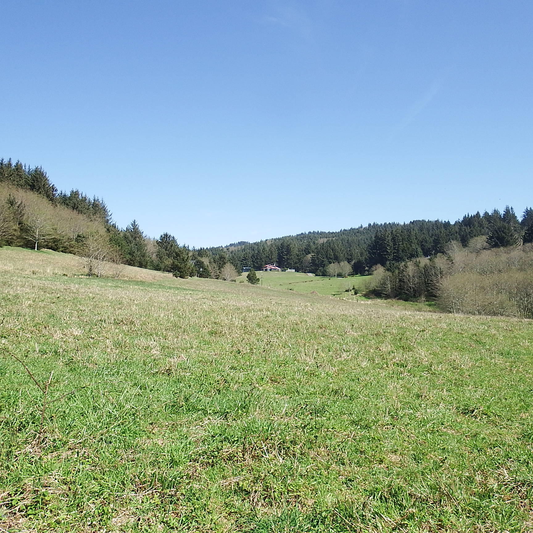 6205 Scherzinger Road Neskowin, OR 97149 - Photo 68 of 88 Pasture