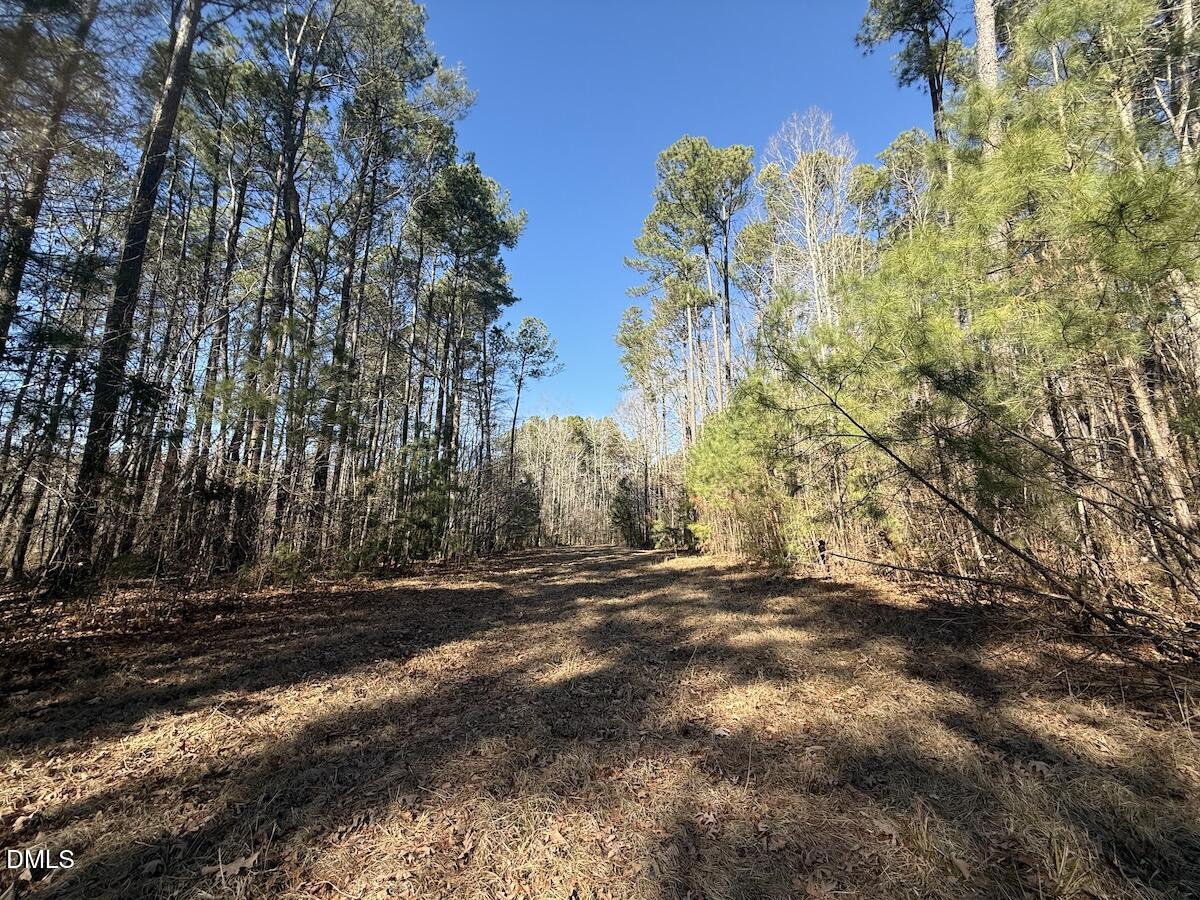 1012 South Halifax Road Rocky Mount, NC 27803 - Photo 25 of 41 a view of backyard with green space