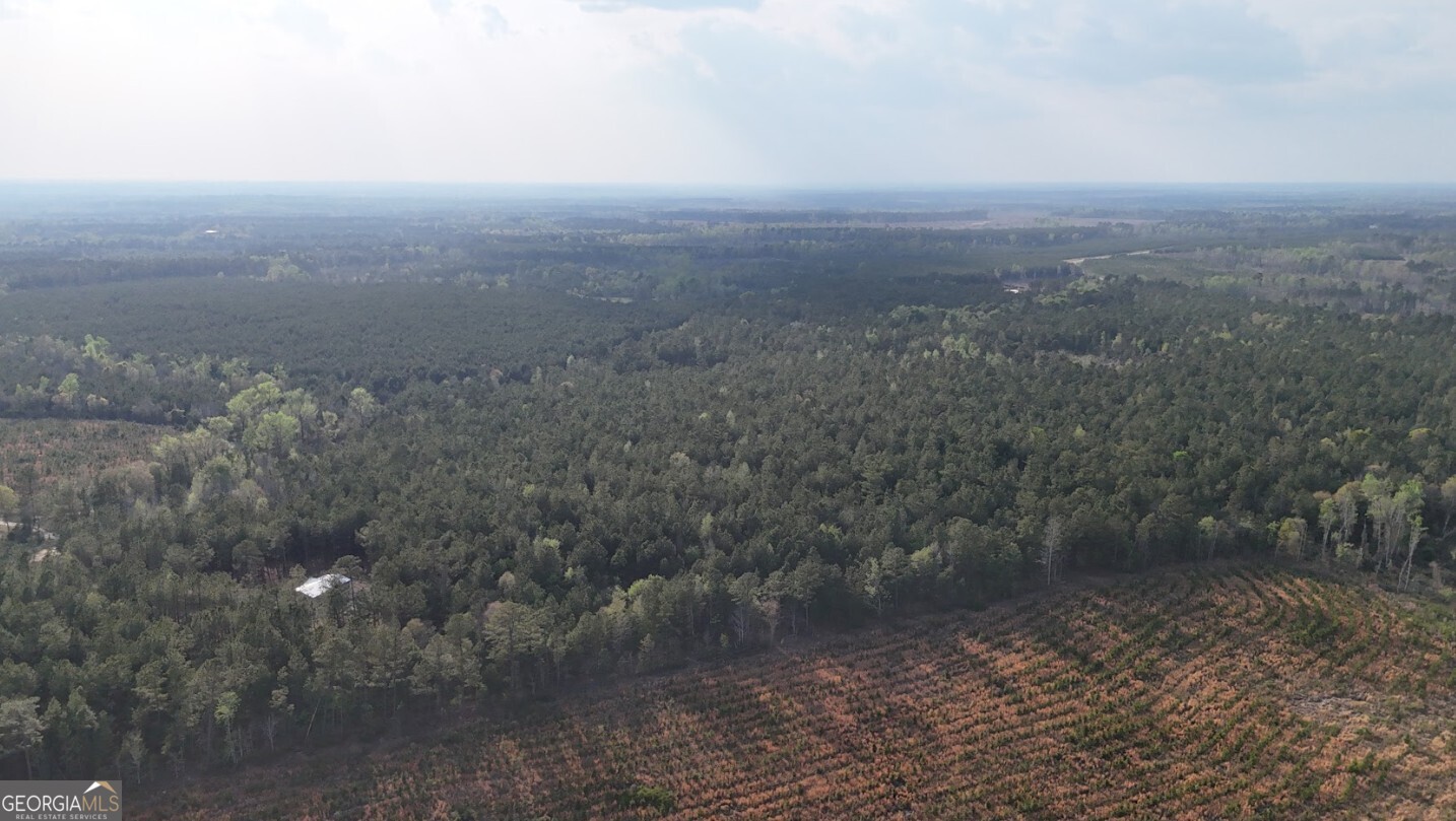 0 Pollett Road, Unit LOT 23 Bartow, GA 30413 - Photo 12 of 29