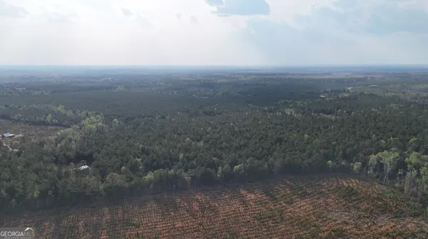 a view of a dry yard