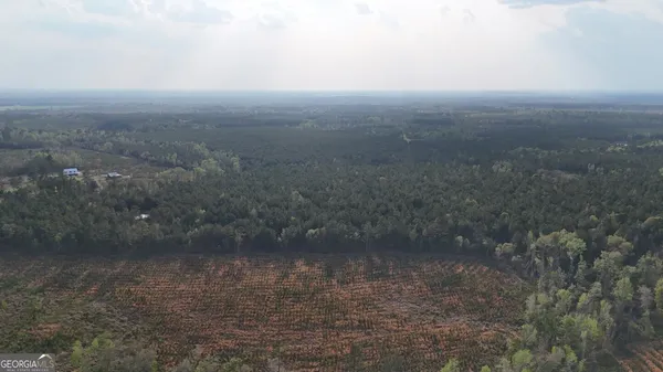 a view of a city with lush green forest