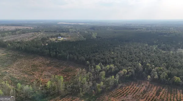 an aerial view of houses covered in trees