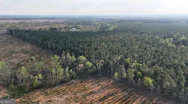 an aerial view of houses covered in trees