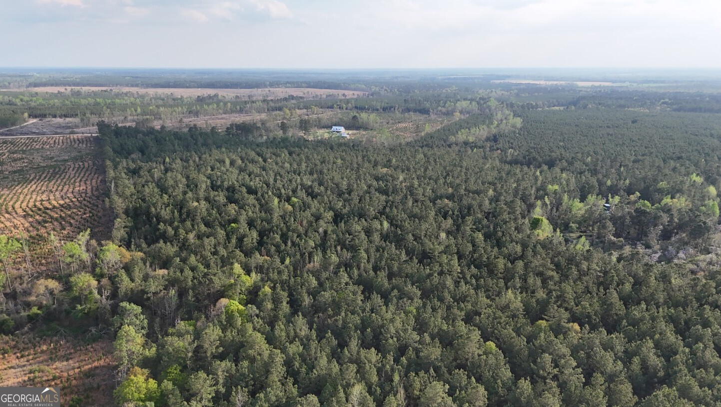 0 Pollett Road, Unit LOT 23 Bartow, GA 30413 - Photo 17 of 29