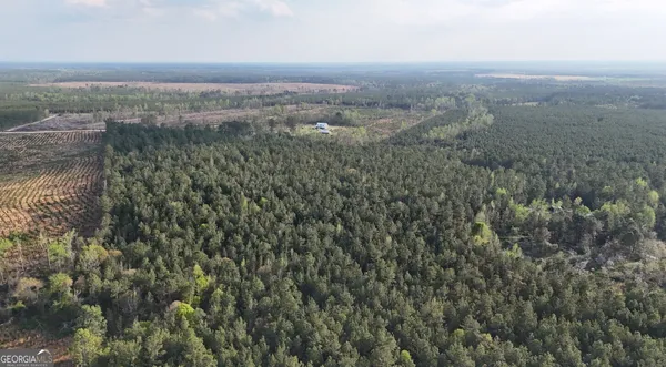 a view of an ocean and beach