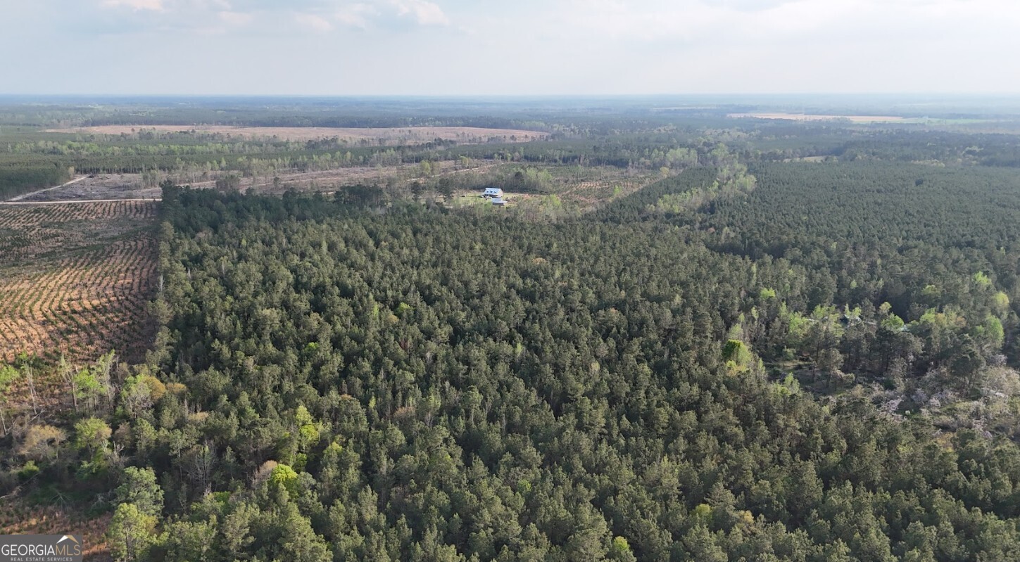 0 Pollett Road, Unit LOT 23 Bartow, GA 30413 - Photo 18 of 29