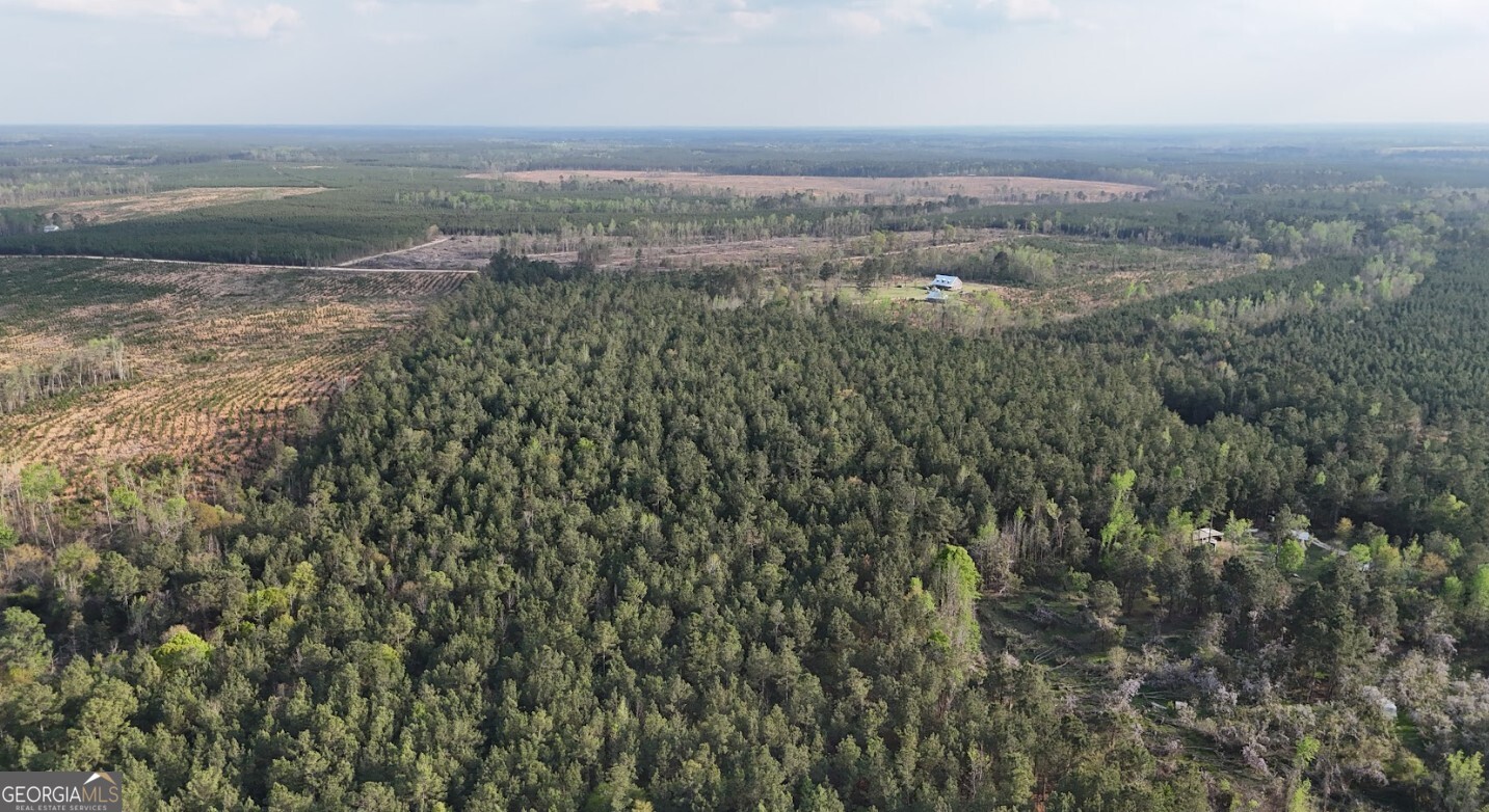 0 Pollett Road, Unit LOT 23 Bartow, GA 30413 - Photo 19 of 29