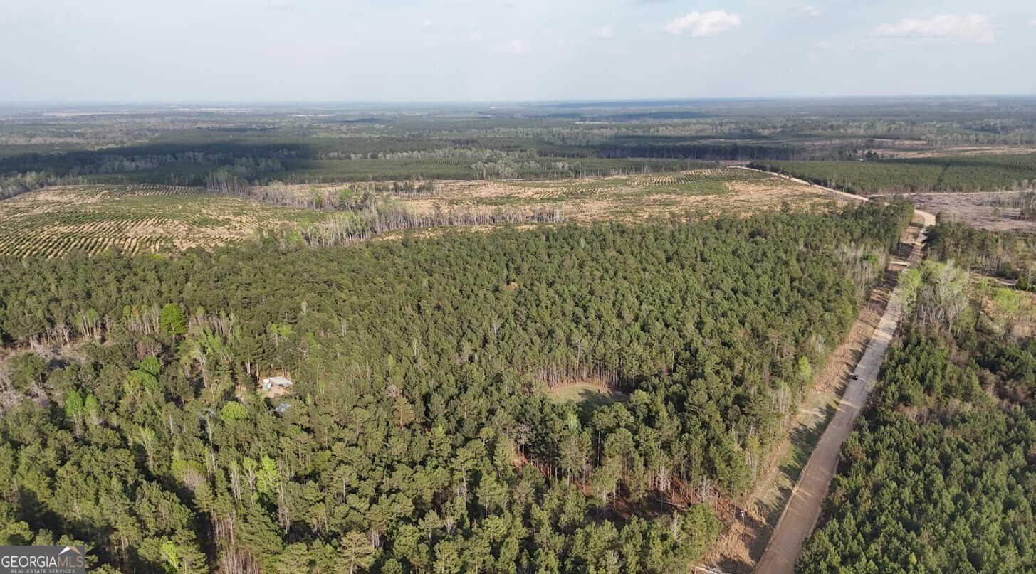 0 Pollett Road, Unit LOT 23 Bartow, GA 30413 - Photo 21 of 29