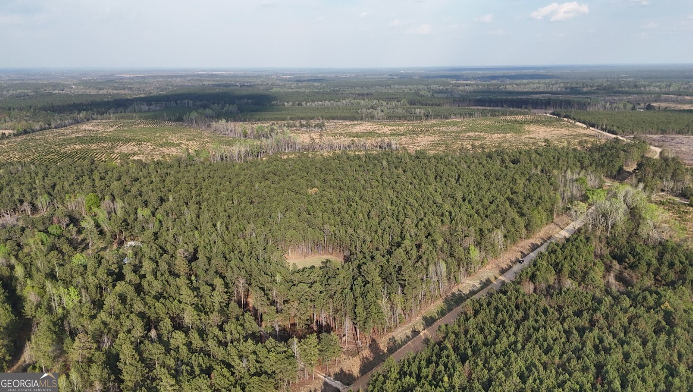 0 Pollett Road, Unit LOT 23 Bartow, GA 30413 - Photo 22 of 29