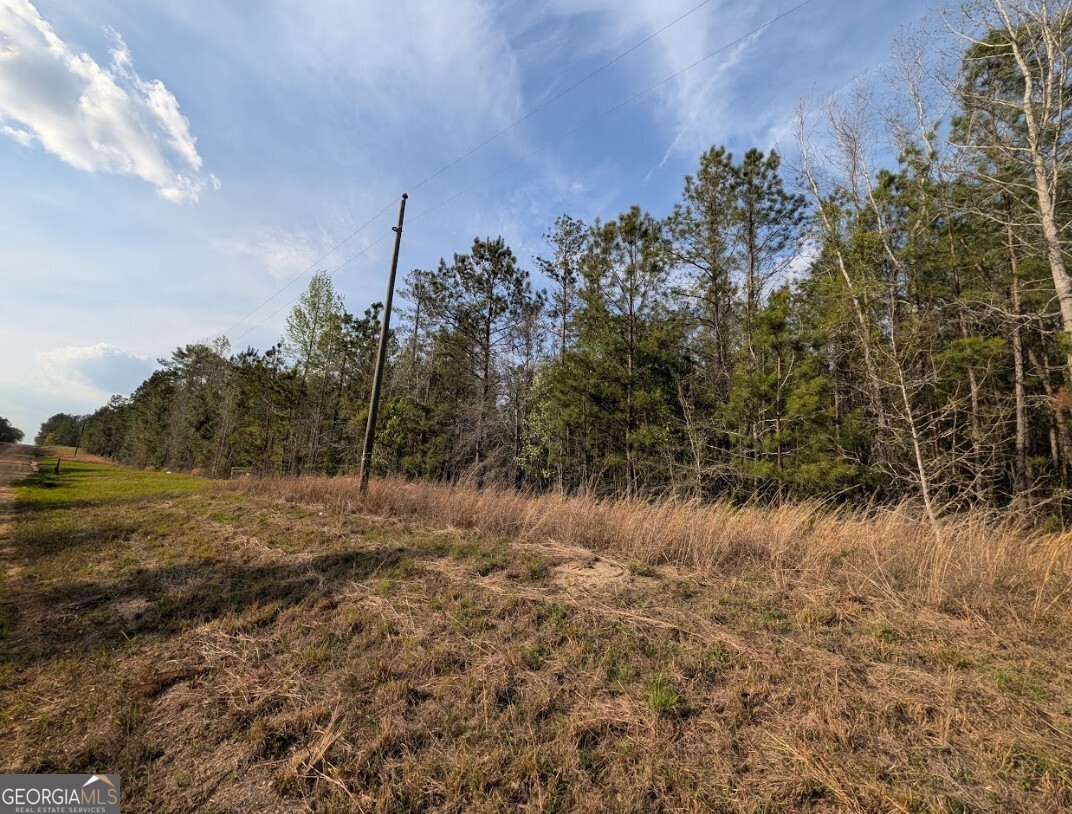 0 Pollett Road, Unit LOT 23 Bartow, GA 30413 - Photo 24 of 29