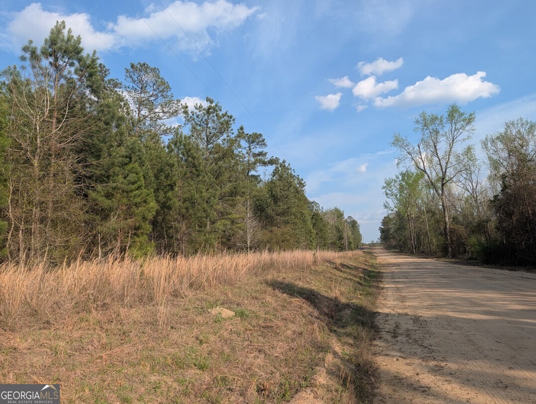 0 Pollett Road, Unit LOT 23 Bartow, GA 30413 - Photo 25 of 29