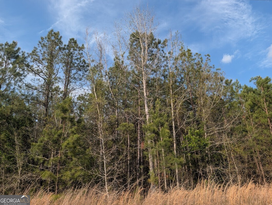 0 Pollett Road, Unit LOT 23 Bartow, GA 30413 - Photo 26 of 29