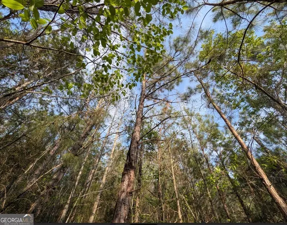 $60,000 | 0 Pollett Road, Unit LOT 23, Bartow, GA 30413